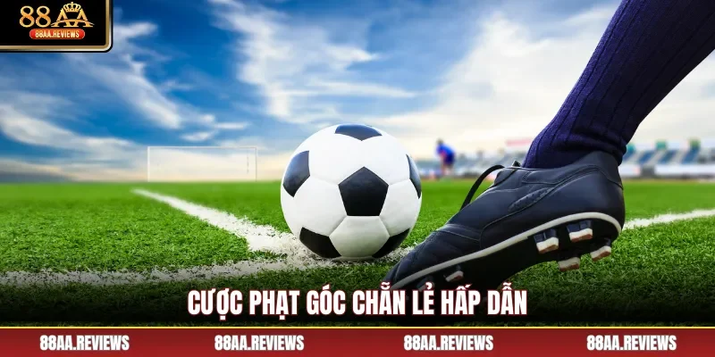 Cược phạt góc chẵn lẻ hấp dẫn